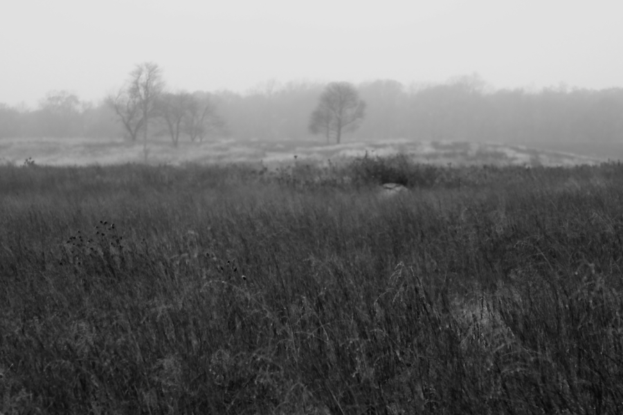 2009 11 14 IMG 1887ebw